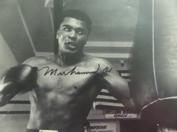 This awesome black and white photo is the standard 8x10 size that is ideal for framing.  It is an image of an in-his-prime Muhammad Ali, intensely working the heavy bag, and is hand-signed in black sharpie by the 3 time Heavyweight Champ and 20th Century icon himself.  The signature is a very nice one, grading about an 8.5, and with Ali's death now nearly a decade ago, retail is high hundreds on this unique photo!