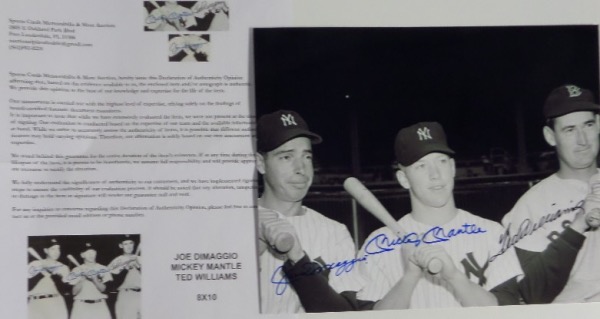 This black and white 8x10 photo is a well-known pose of all three MLB Hall Of Fame outfielders before a 1951 game.  It is sharpie-signed by all three deceased legends, including Yankee icons Joe DiMaggio and Mickey Mantle, and Red Sox immortal, Ted Williams, and will frame and display beautifully for any baseball collection.  Valued well into the hundreds!  Sports Cards Memorabilia & More Auction certified!