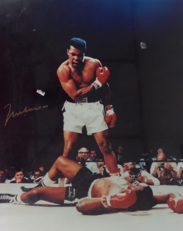 This very large 16x20 photo is a vivid, full color shot of Ali standing over former champ Sonny Liston after the notorious "phantom punch" in their title rematch.  It is gold sharpie-signed by the 3 time Champ himself, grading a legible 8, and over a nice, dark spot for viewing.  The photo will frame and display magnificently, and is easily valued into the mid hundreds!
